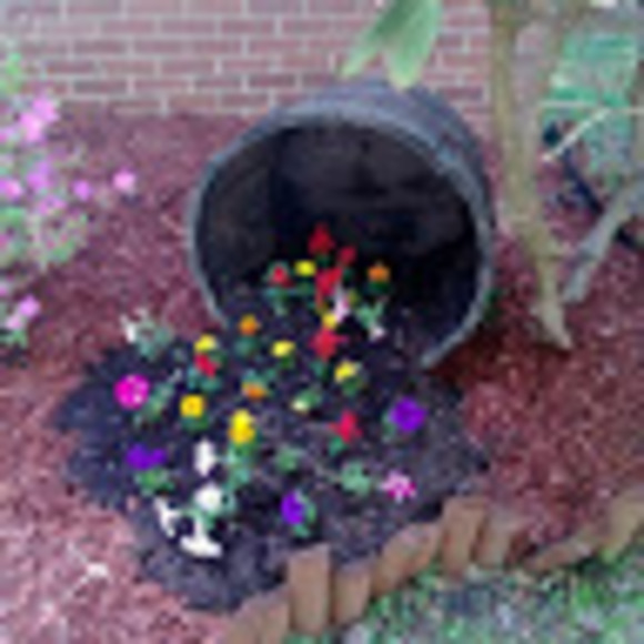 Meet your Posher, Dawn - Picture 1 of 1